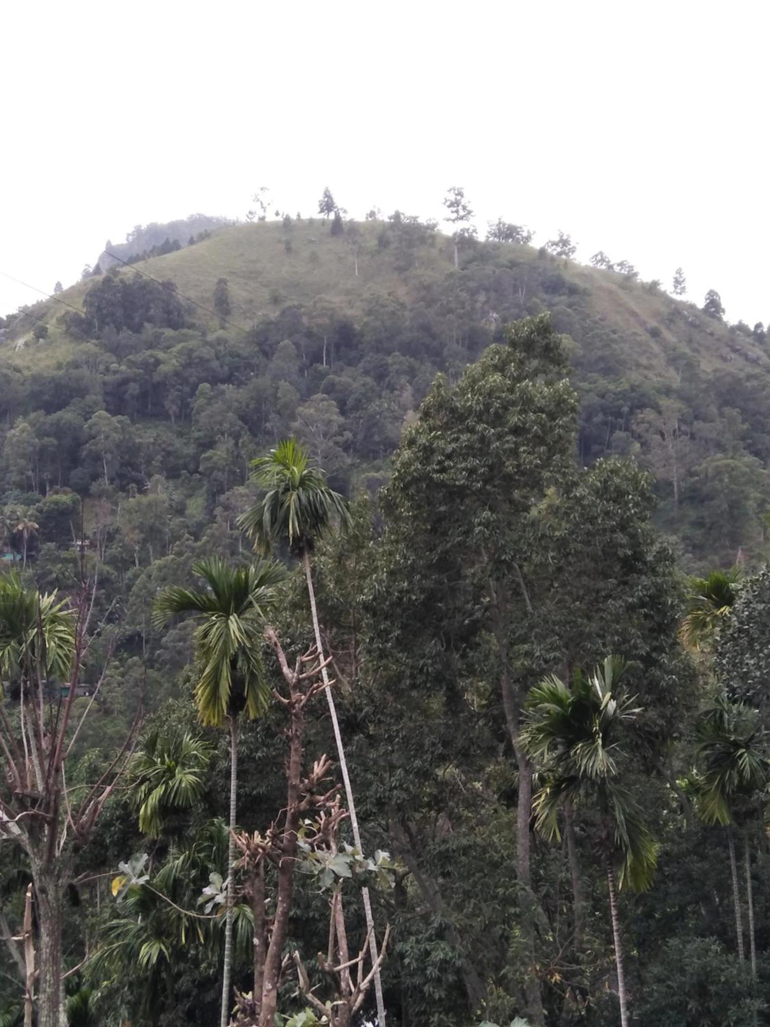 Rocky Dreams Ella Hotel Bagian luar foto